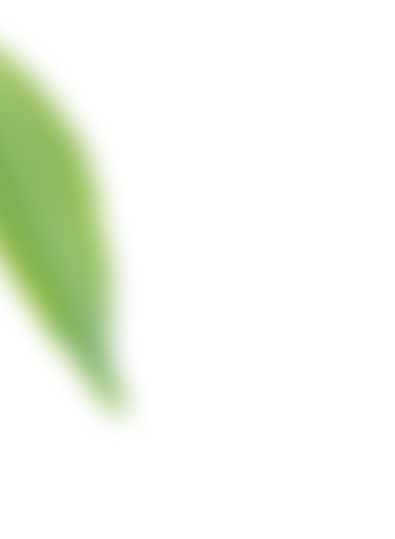 Decorative Leaf