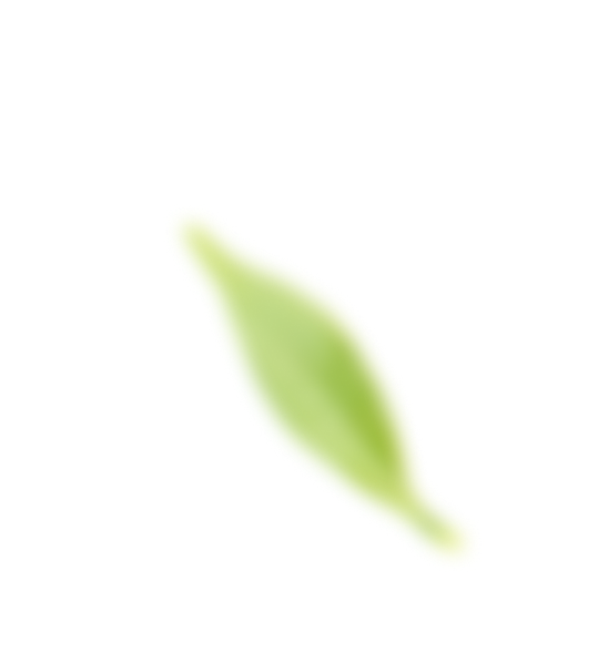 Decorative Leaf